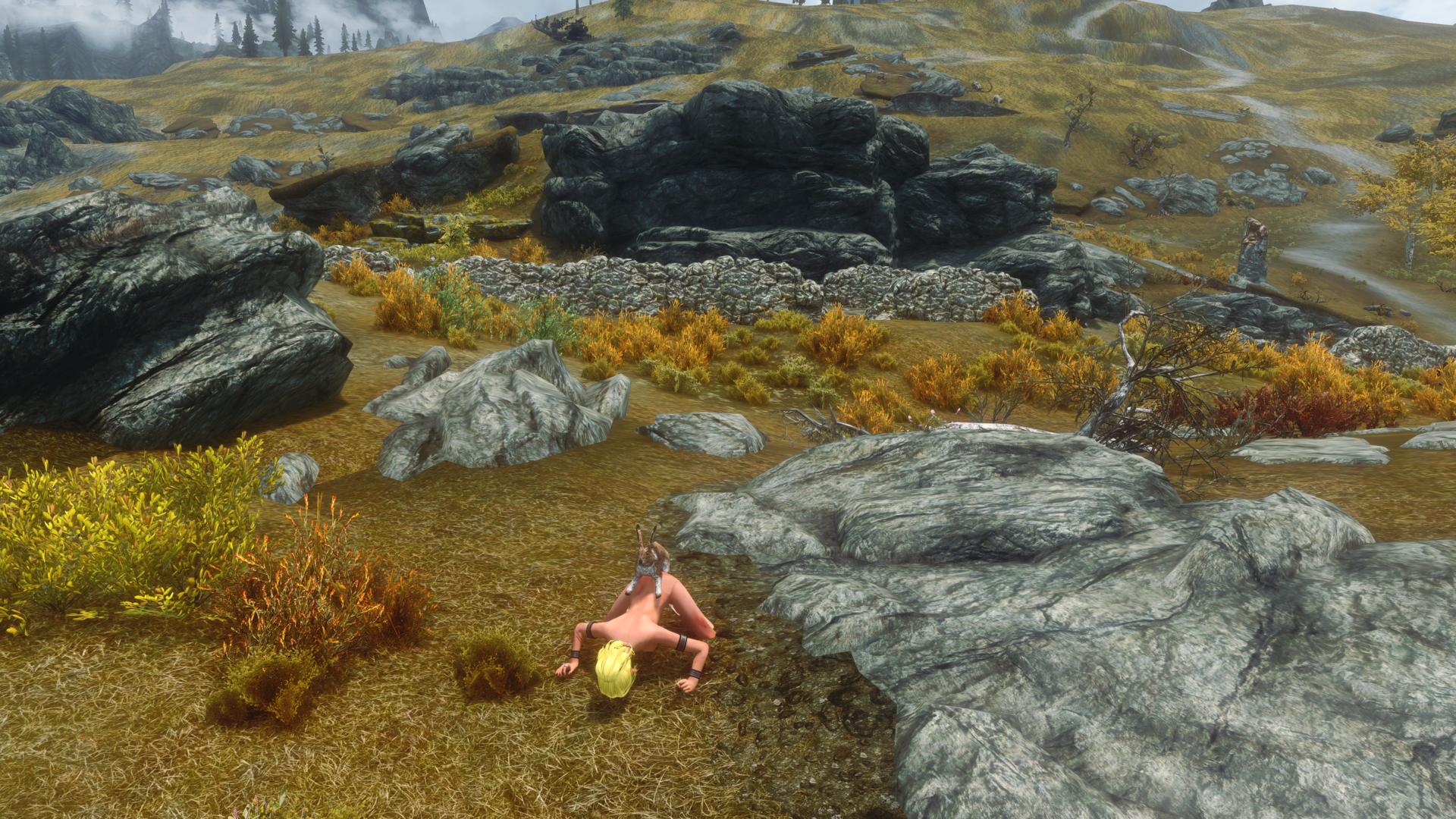 1789658475_Fawn-Skyrim2019-01-2001_38_12.thumb.png.bfe4b1fb15556c82c756096d7bda8112.png