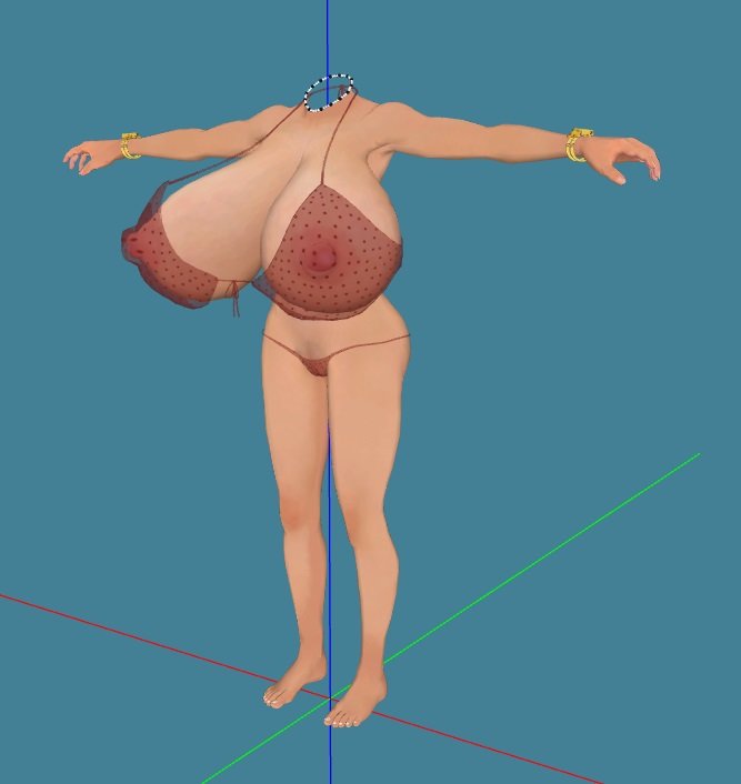 bra pants.jpg