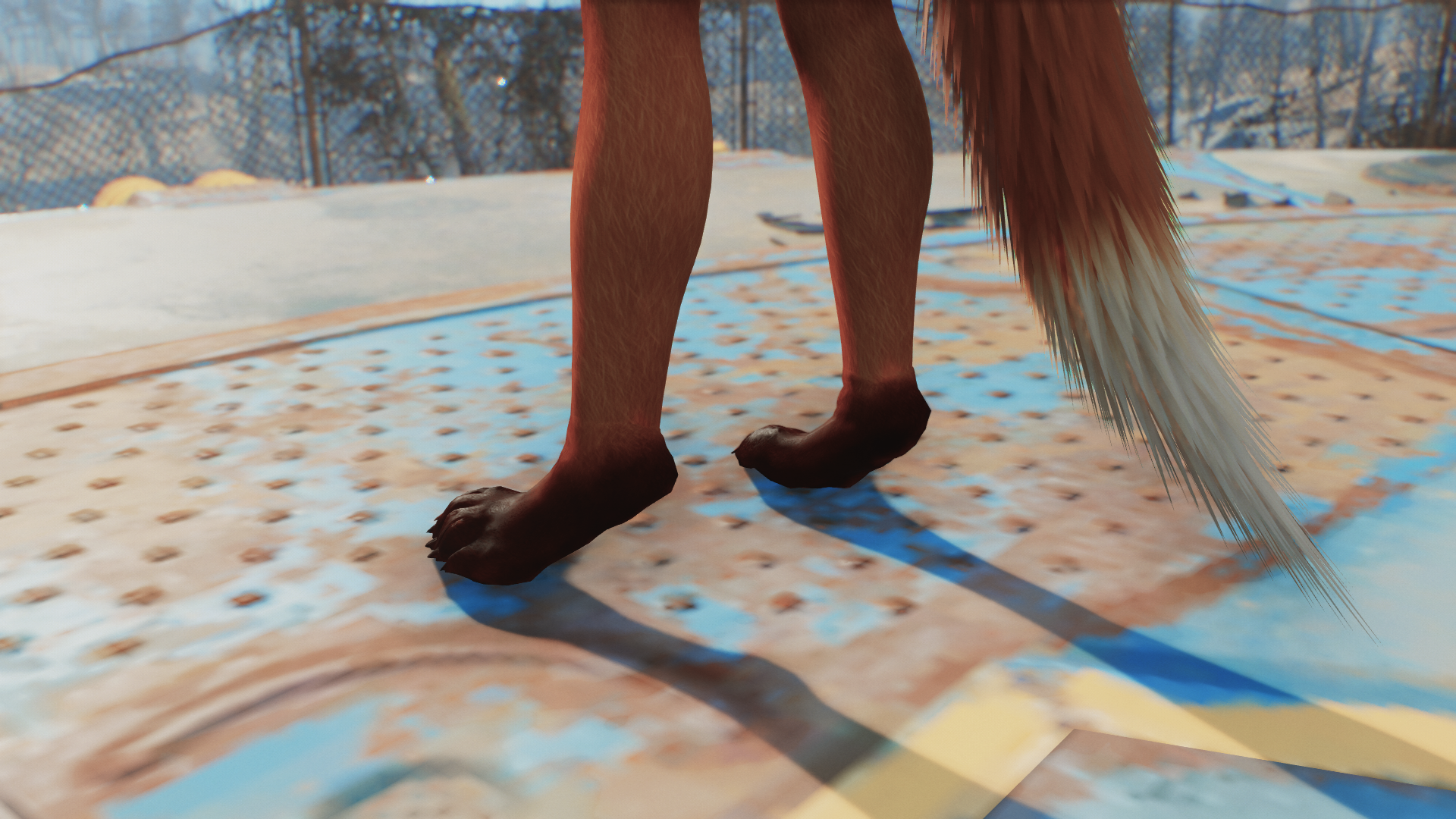 Vulpine_Feet_3.png