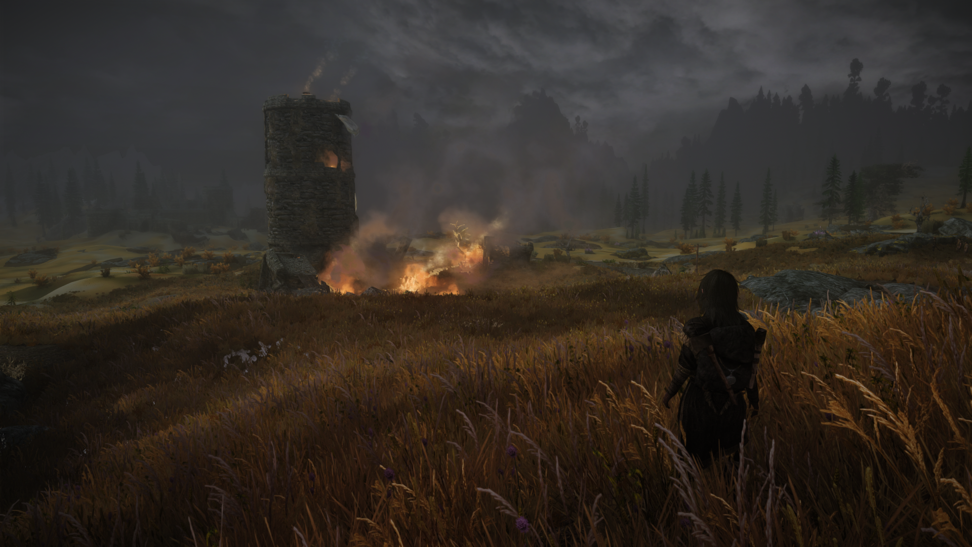 1054864246_TheElderScrollsVSkyrimSpecialEditionScreenshot2019_02.11-18_57_13_28.png.6756591e6f2b7b1725cf02762c3d73bd.png