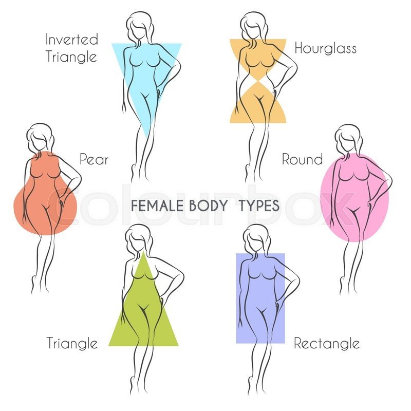 body shape basics female.jpg