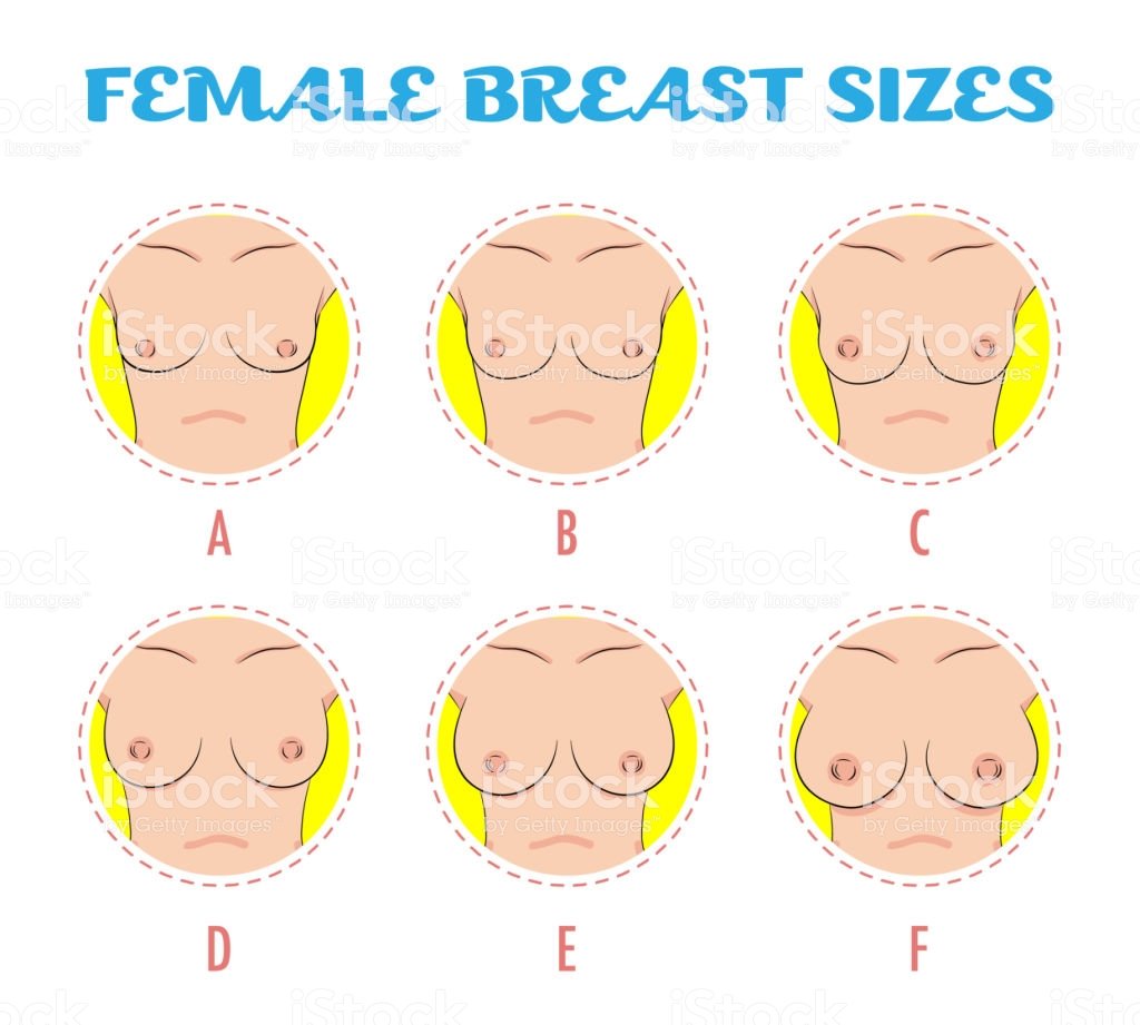 female-breast-size-body-front color2.jpg