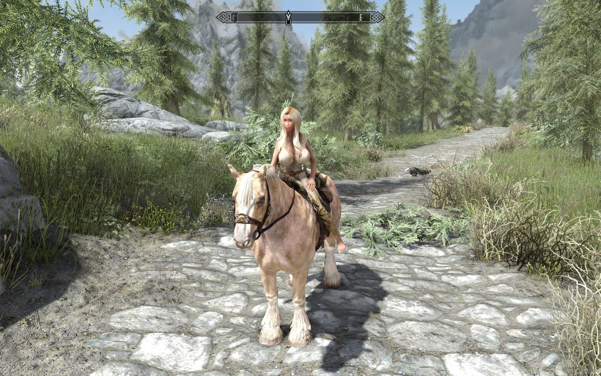 SkyrimSE 2019-02-17 14-49-52-55.jpg
