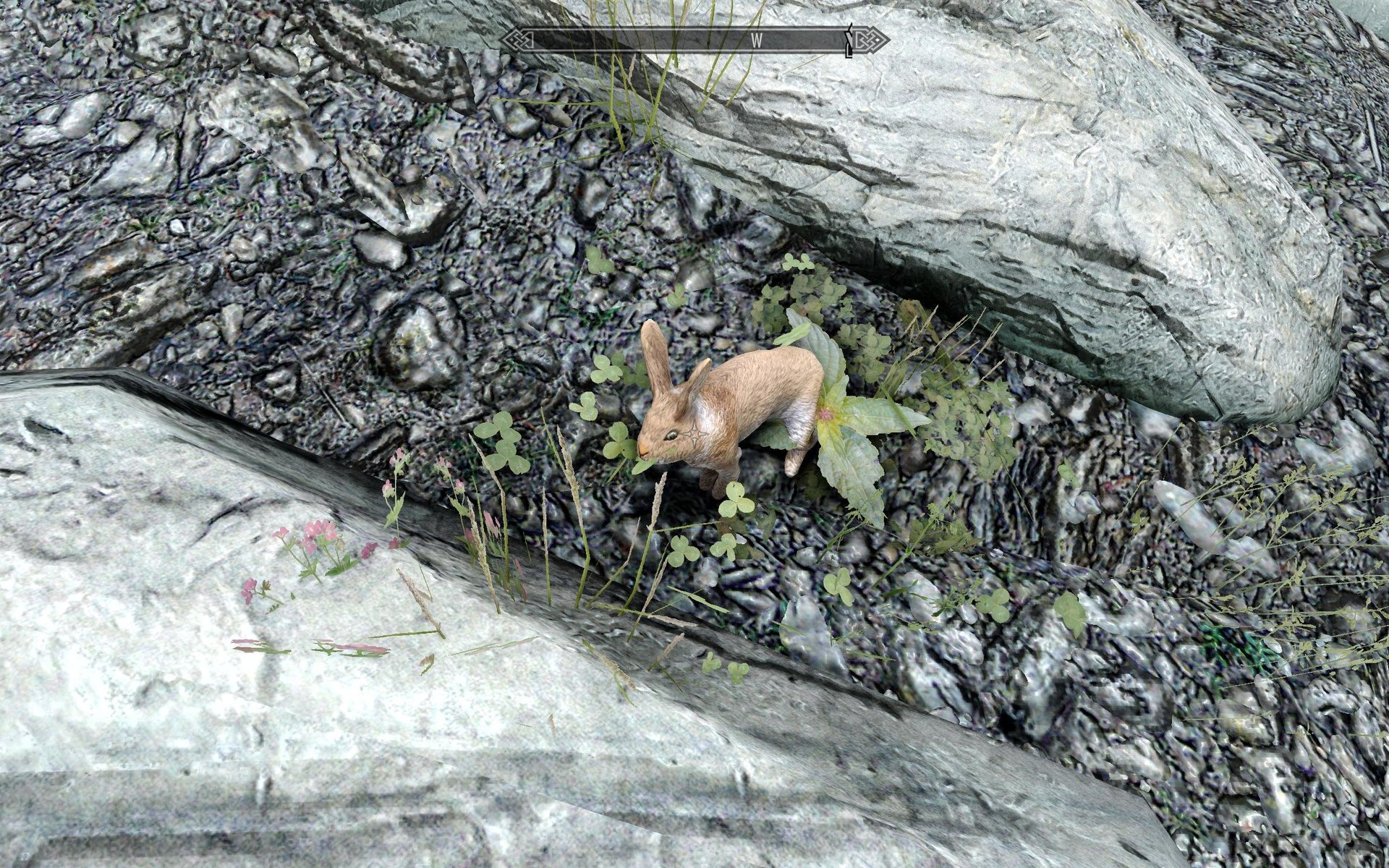 SkyrimSE 2019-02-17 14-39-20-54.jpg