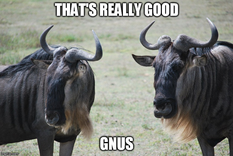 GoodGnus.jpg.7d9b72dfbf0d04082fde87e237a5ba1e.jpg