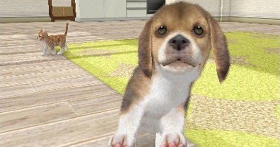Nintendog1.jpg.de2a6be0bf766096fd8d7050747200f9.jpg