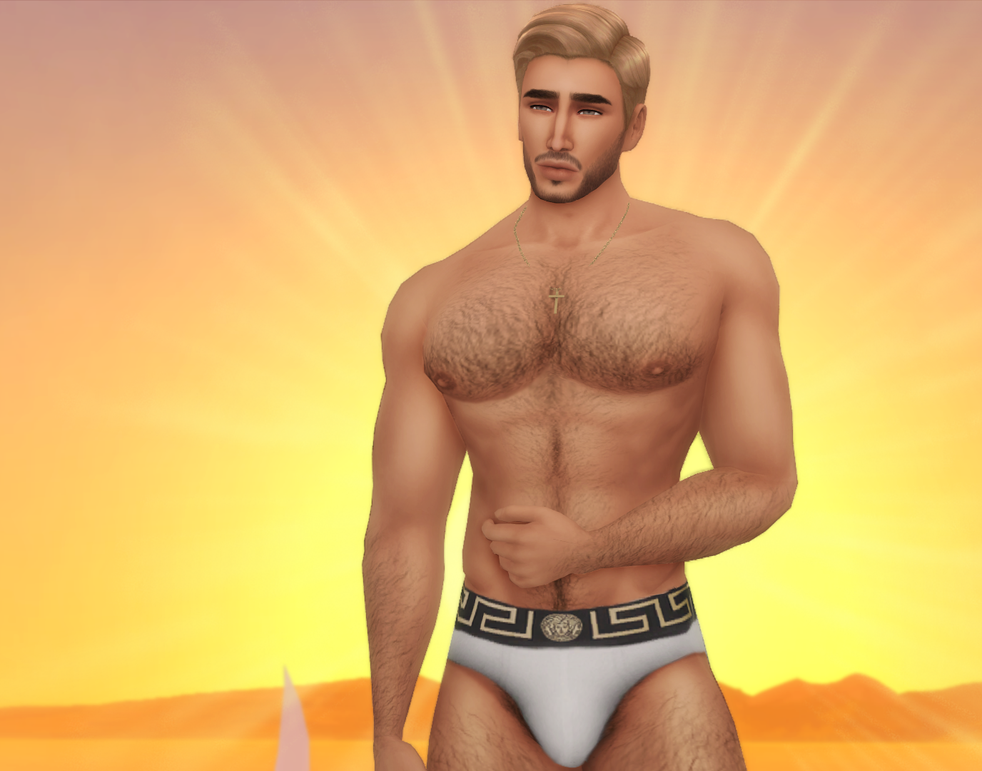 Sunset3.png.acca194b41b6cc97ea9f8621775e3ca3.png