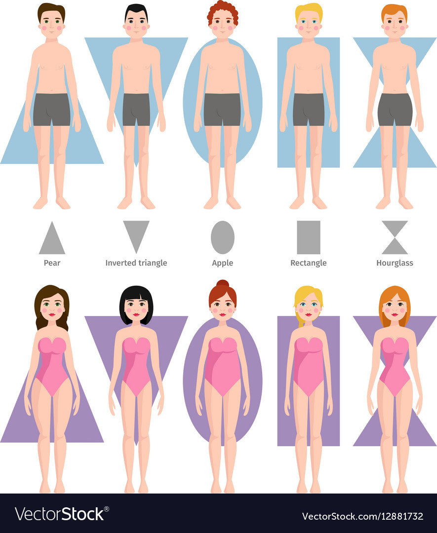 body-shape-types-vector.jpg