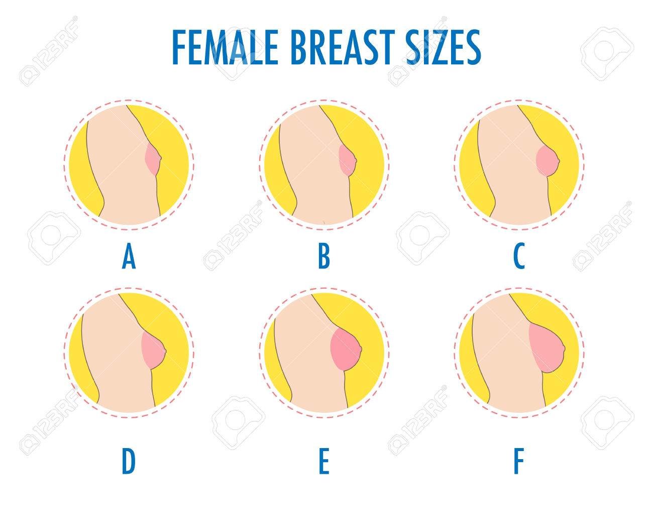 female-breast-size-body-side.jpg