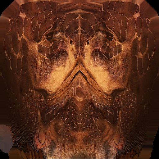 headargonianOCO.jpg