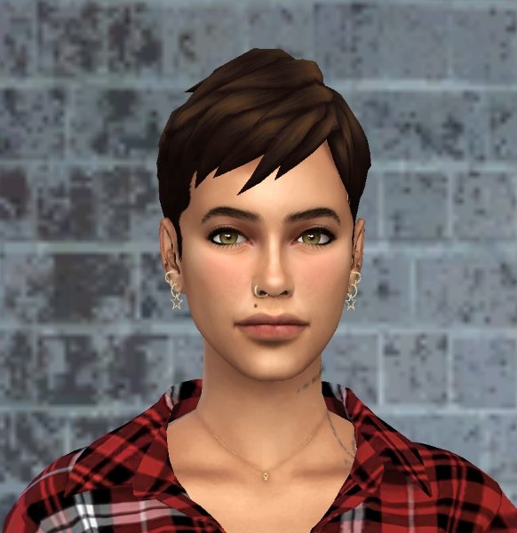 izzy1.jpg.45a4e4e9efd0722834f9f4e9306454ed.jpg