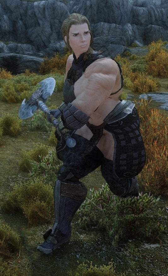 paladin.jpg.d2510b4d03ede8f2d587850780148a17.jpg