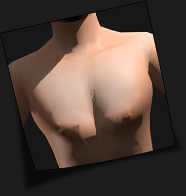 02c_muscles.png.f1218f71cb4aceedc8879be0c47bccdb.png