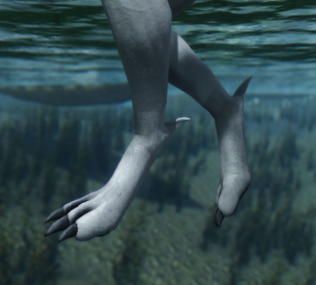 Feet Swim 1.jpg