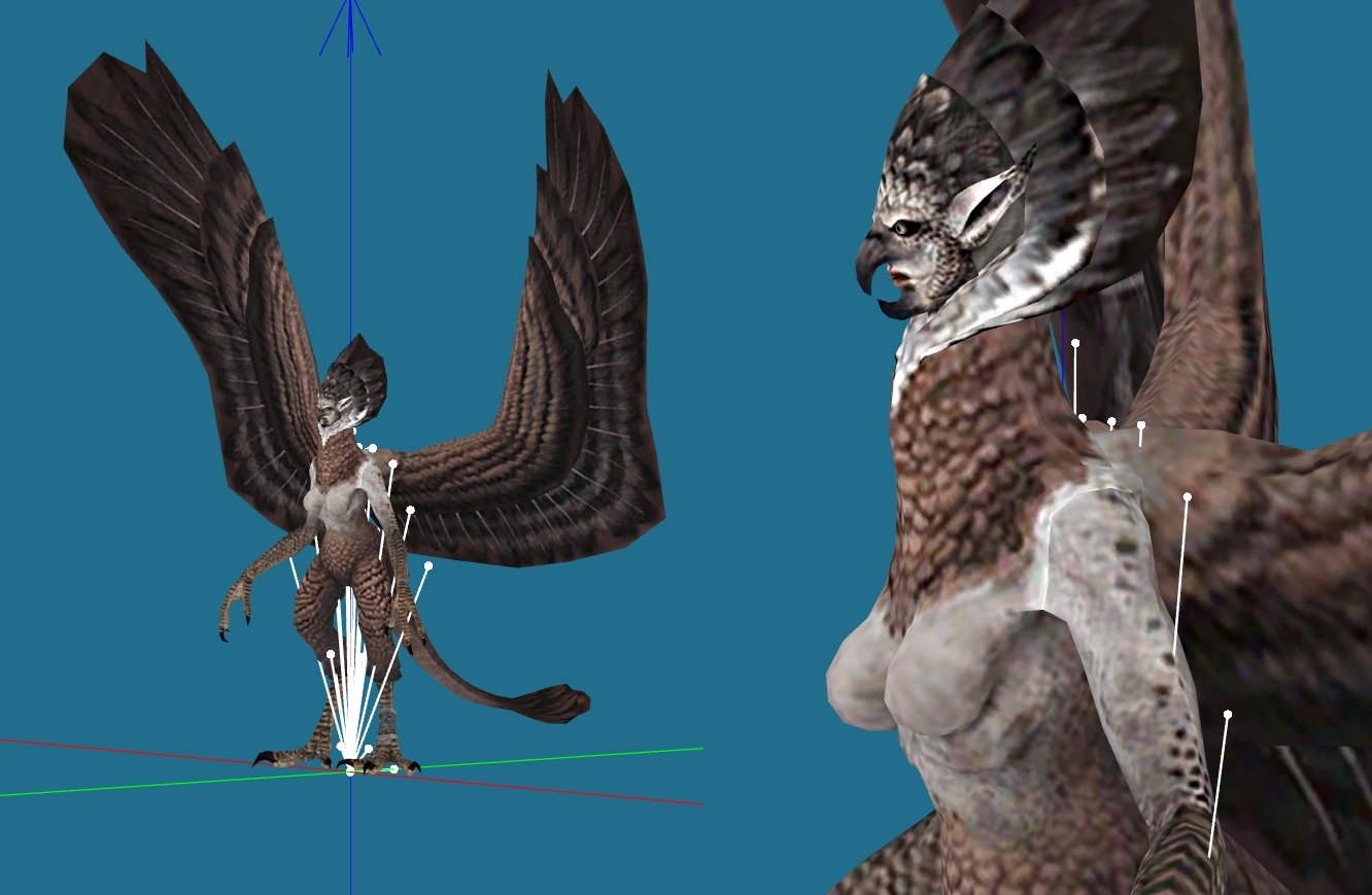 1T1.jpg