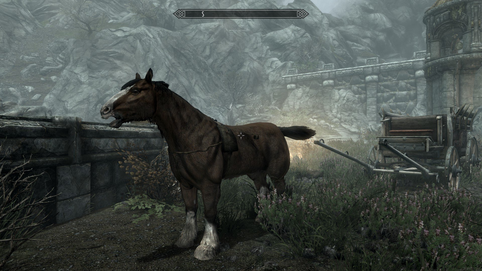20190330172928_1.jpg.e5c6eb7a924533ff5dfbdf1f3cb2586b.jpg
