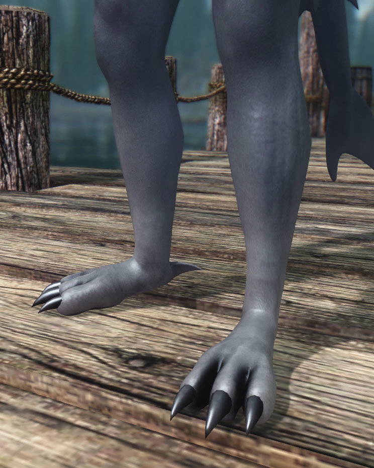 Feet Planti 1.jpg