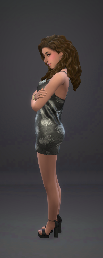Party01.png.88a1e5261f3f17dda9d8175660978052.png