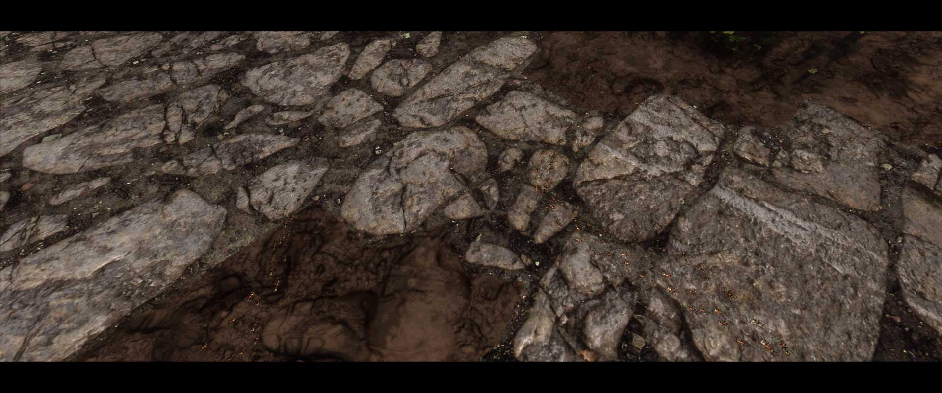 ScreenShot256.thumb.png.dc0e08d2d5b47a0f965da2bd08aef48f.png