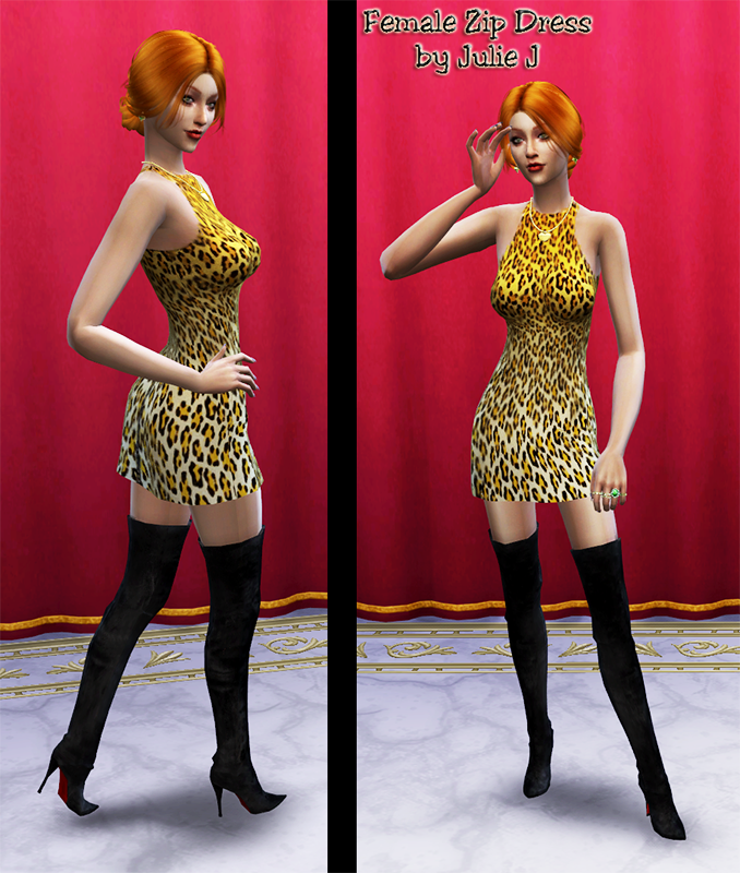 ZipDress-GAME.png.5597027ff17ef472041472bcec1bd6e5.png