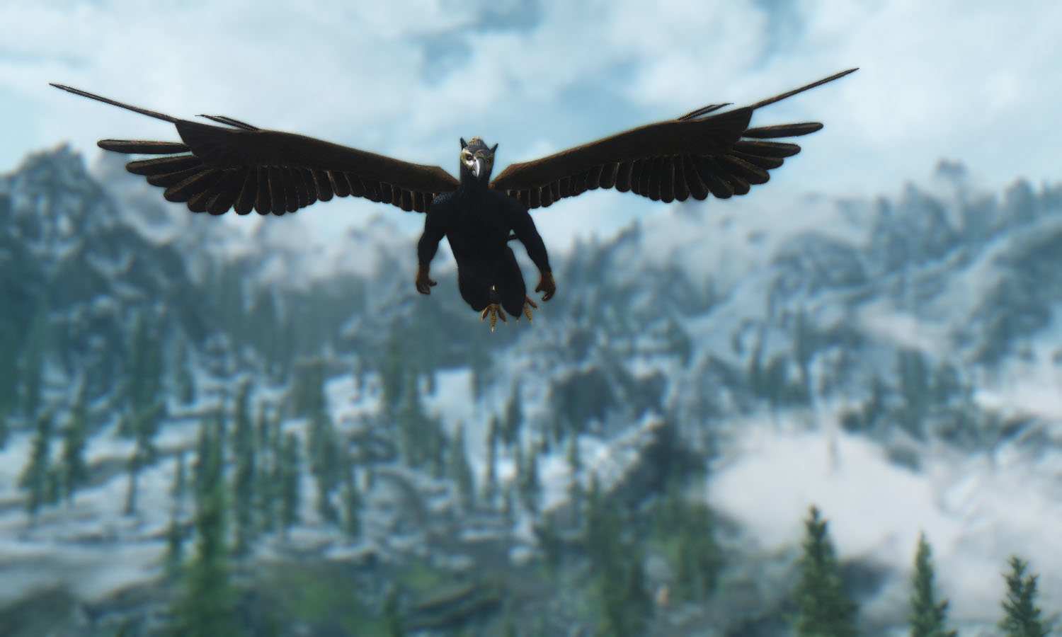 Flying 3.jpg