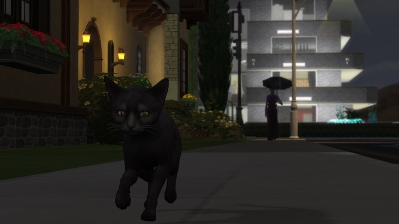 1260987295_healthykittySims4Screenshot2019_04.25-20_46_29_02.jpg.7beabf0e7e2aba5ec9644950cbff79b4.jpg