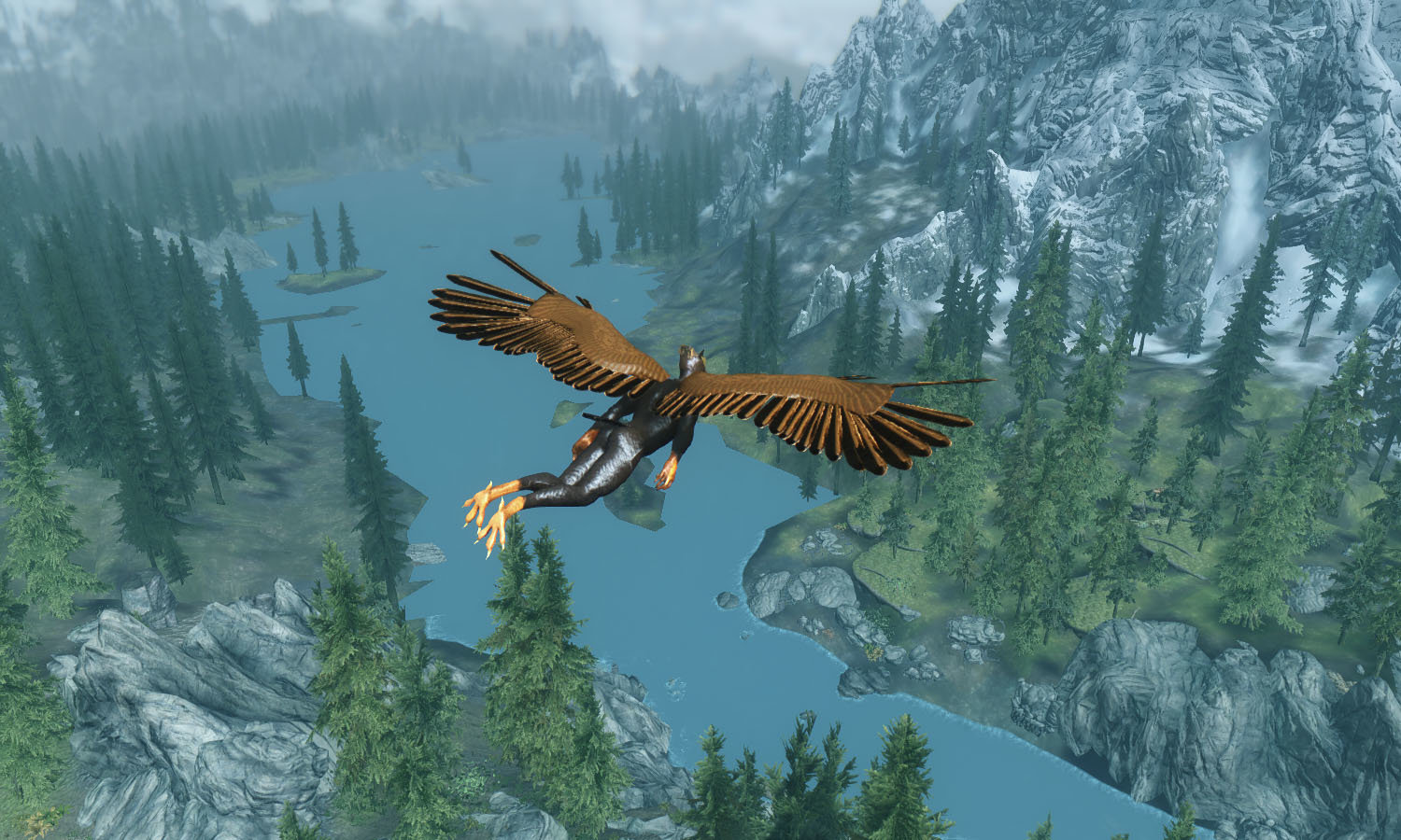Flying 1.jpg