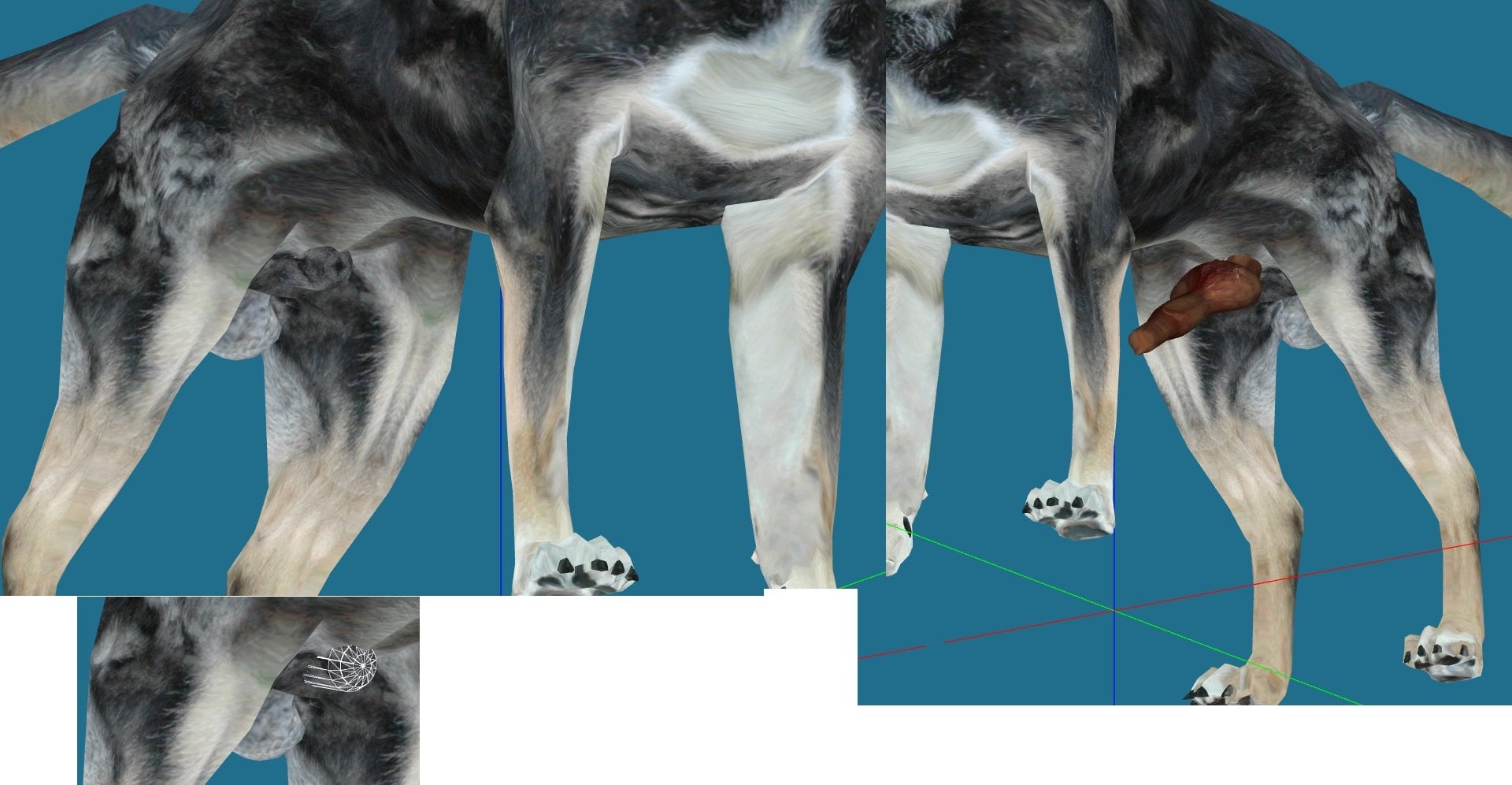 1Dog.jpg