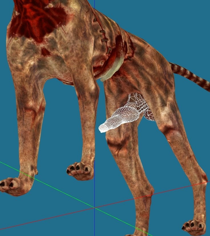 1dog3.jpg