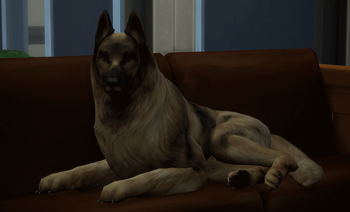 27_11.18_02-25-24RoyPaint.png.3a7330321ef00fb9514670d54f527bcd.png
