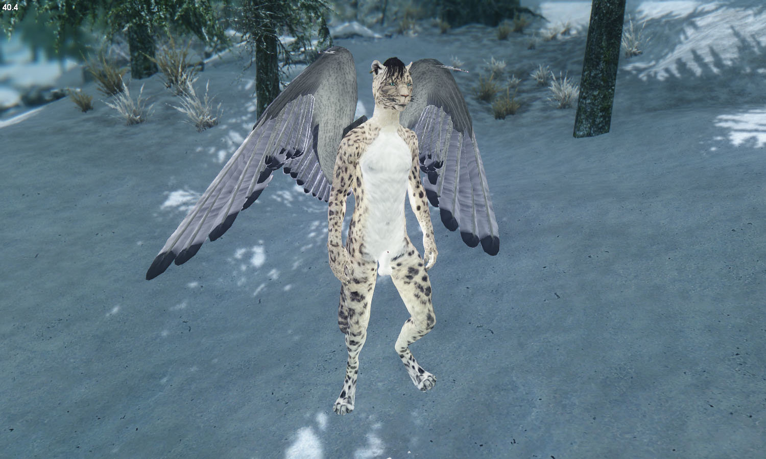 Winged cat 2.jpg
