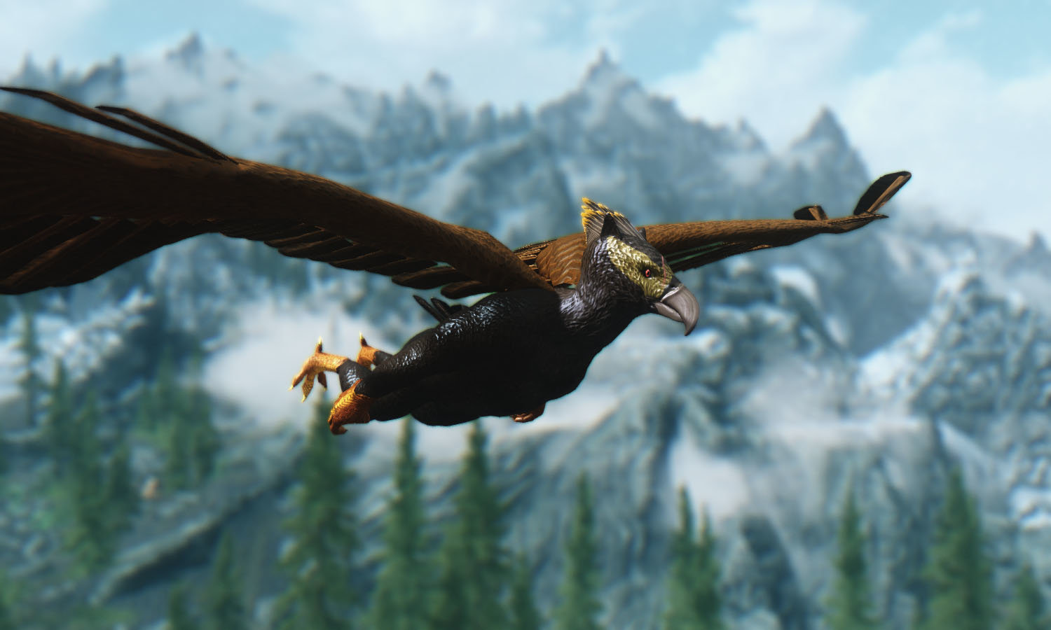 Flying 2.jpg
