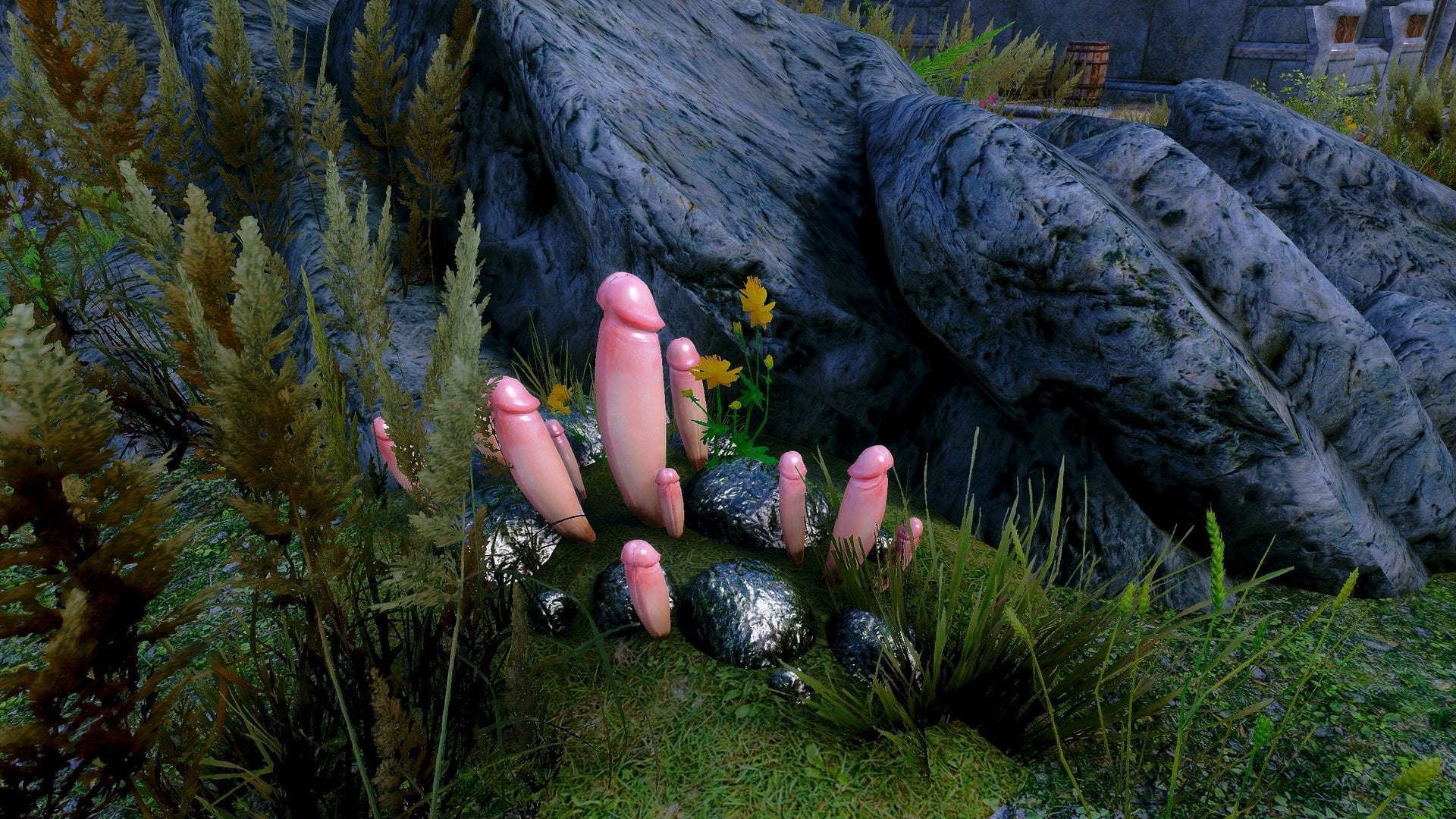 897132967_FlyAmanita.thumb.jpg.a7efd2e99a731b4cc74713eeb2767331.jpg