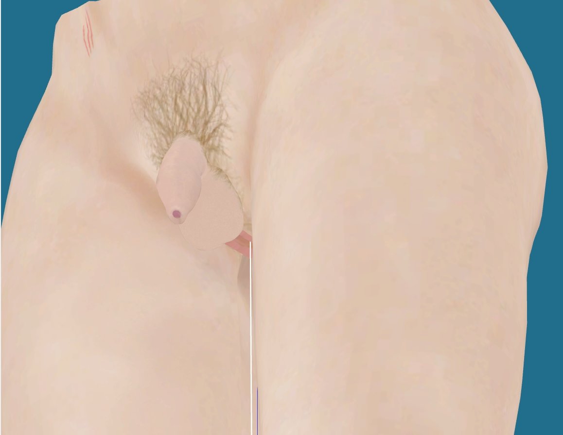 B2.jpg