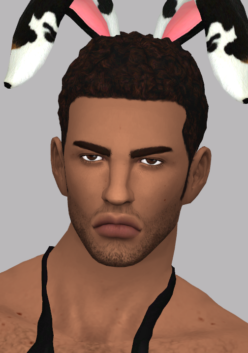 Darius.png.3f07a35c36f3780422071fc4827fb2b3.png