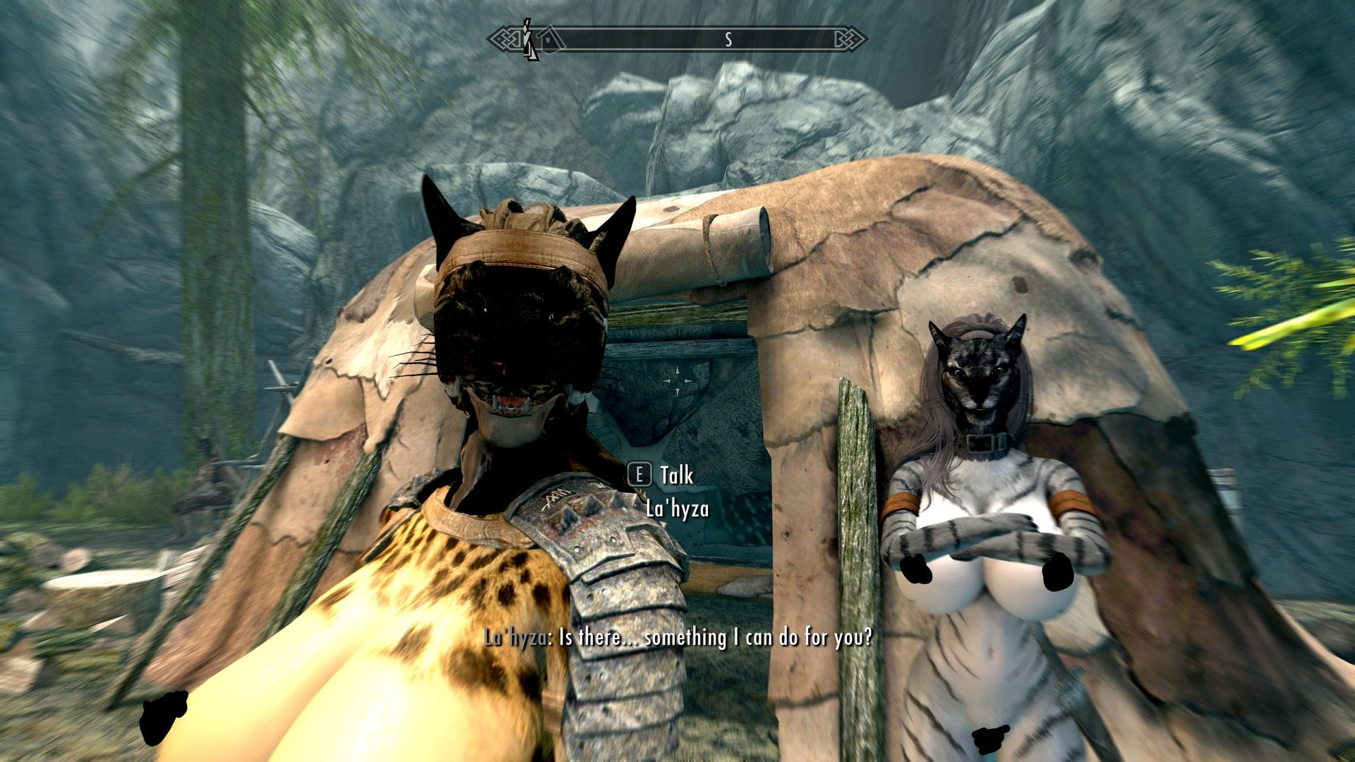 ModphotoPcats.jpg