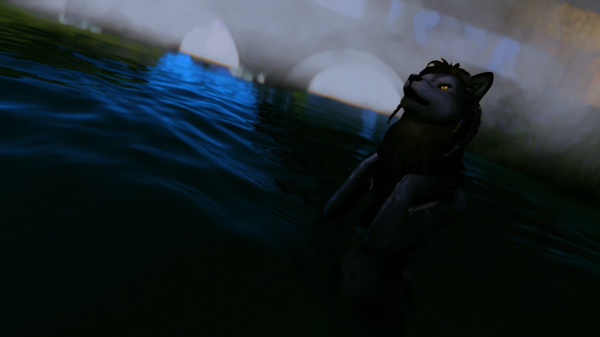 MorningFog.jpg.7203552e0f78bcd6a955a659ddc2337a.jpg