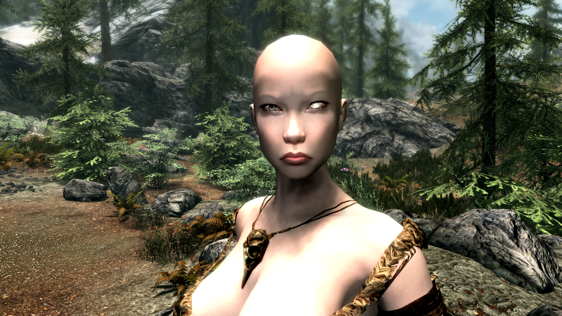 Skyrim560.png.c03874372a304806c3081914cf895021.png