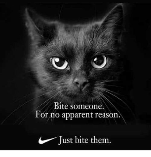 bite-someone-for-no-apparent-reason-just-bite-them-36211389.png.1fb2d7578f601b0545e56018ea9275f9.png