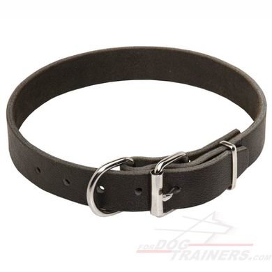 http___www.fordogtrainers.com_images_dog-collars_Budget-Leather-Dog-Collar-C3-big.jpg.40a3c4a4710a4357853284ba606485ff.jpg