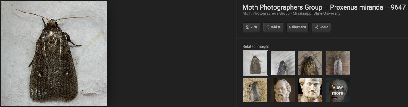 1096552090_ScreenShot2019-05-19at6_48_42AM.png.e3c9de8f1e189e3190e8a40879cc72f4.png