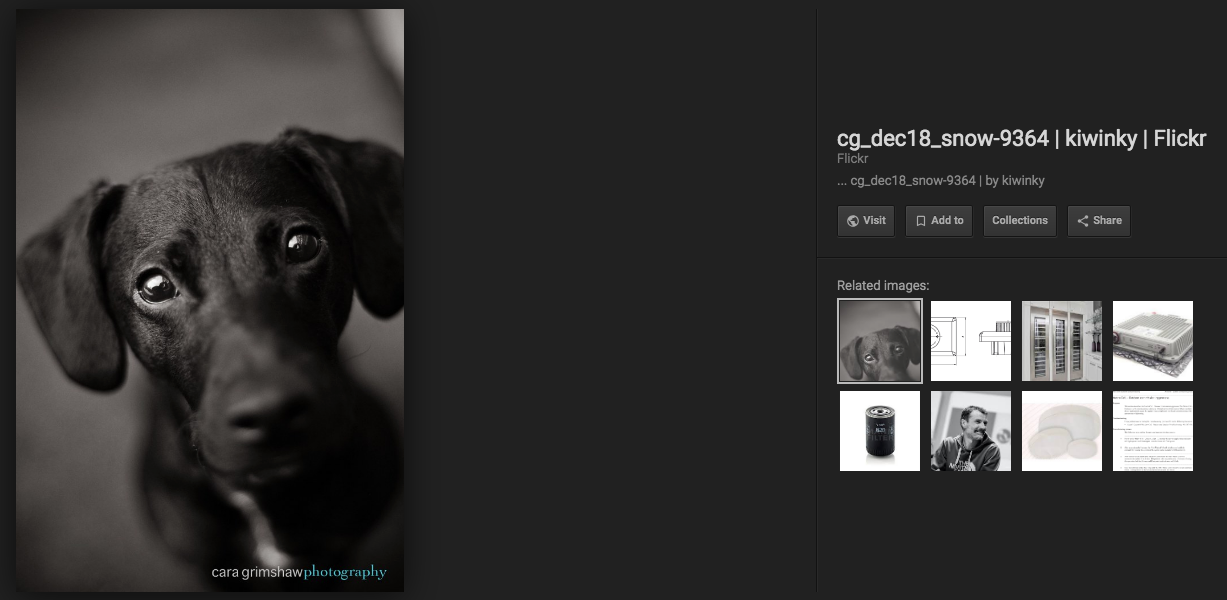 1358217597_ScreenShot2019-05-02at8_38_15PM.png.d2ef0ceb07522f4134d981db90bec6d6.png