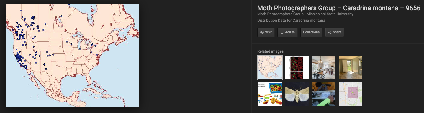 703127427_ScreenShot2019-05-19at11_43_01AM.png.c5d51c6d3ade145532ad53120787e003.png