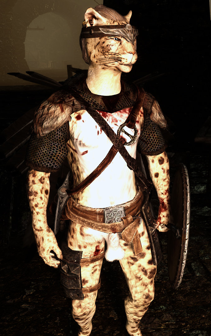 Brigand Armor.jpg