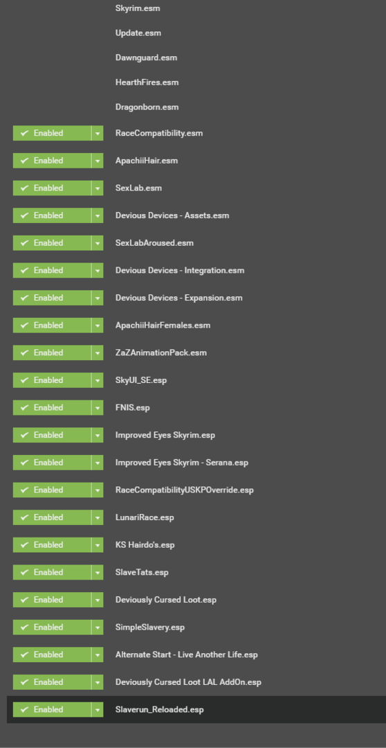 939436764_loadorder.thumb.PNG.f5a689da7ad40ac42d7db0fd80623735.PNG