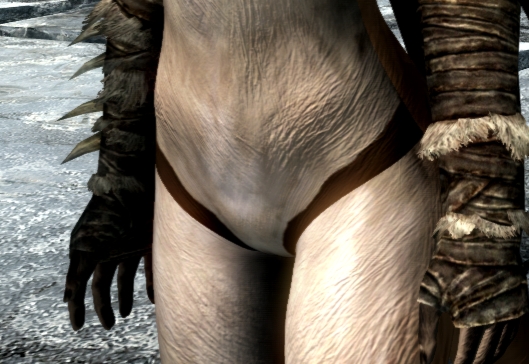 FennecWaist.PNG.9e4026826793297698520bdbac76e88d.PNG