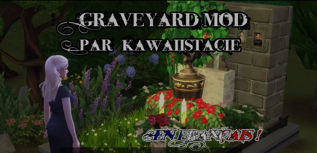 cim2.JPG.05de7e5783f6bad9301ba07d1707dd5c.JPG