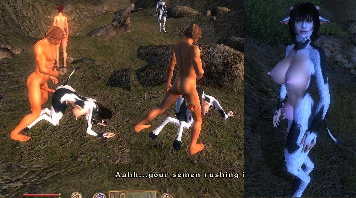 cow.jpg