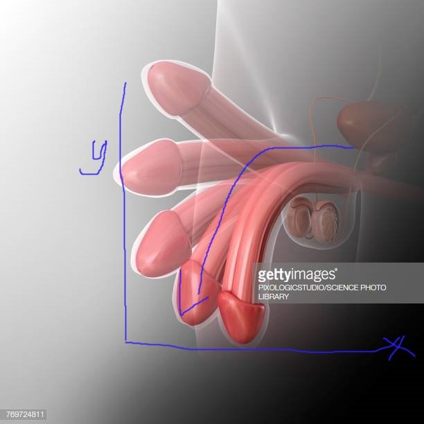 gettyimages-769724811-612x612.jpg.4ad59663a3f096e4a5652da561c78187.jpg