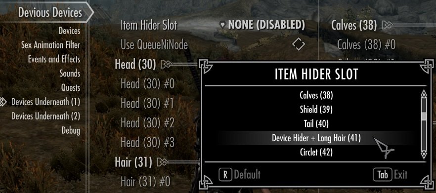 item_hider.jpg.0c62b89b792a4cd6330897482bd1430c.jpg